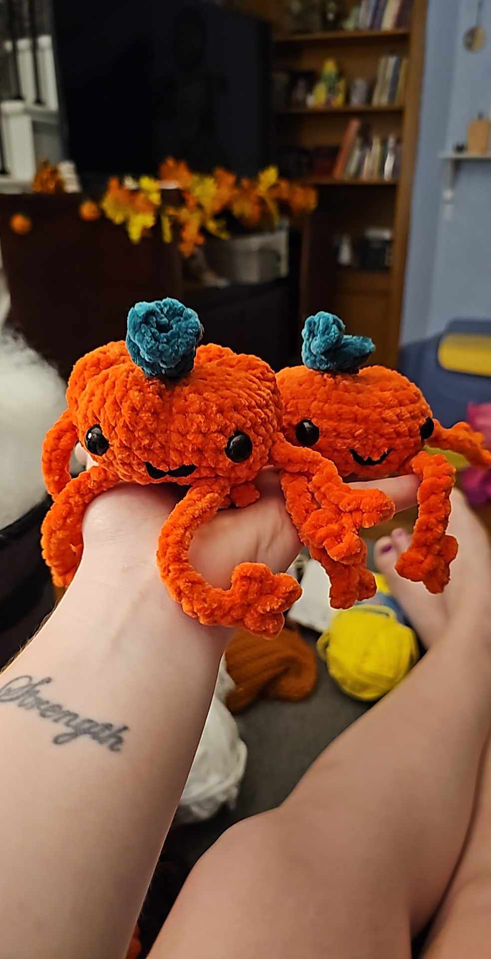 Pumpkin leggy